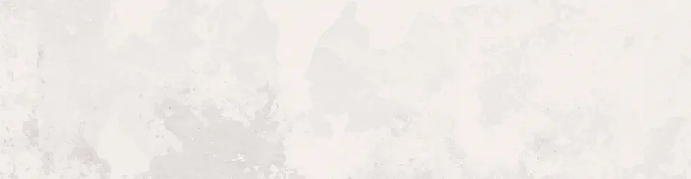 fondo Polanco