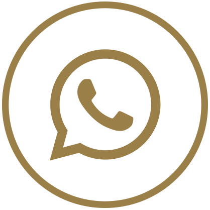 ícono whatsapp