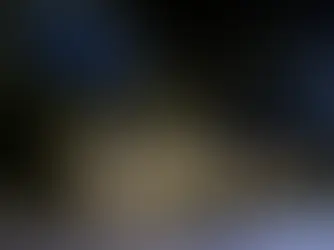 Celebra Año Nuevo en Parole Polanco