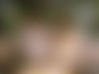 Cena romántica en parole Polanco