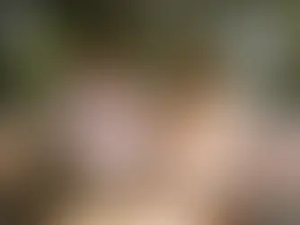 Cena romántica en parole Polanco
