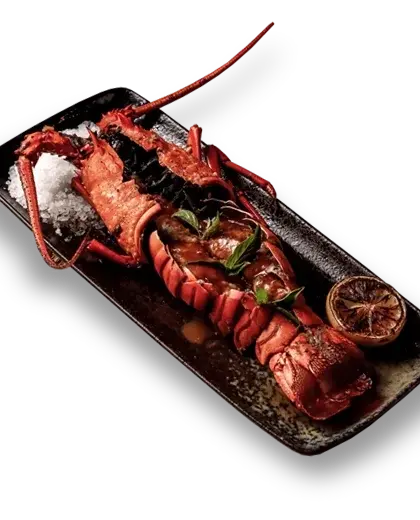 mediterranean lobster